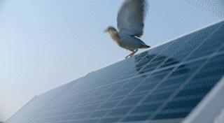 mubadala-micropill-cop28